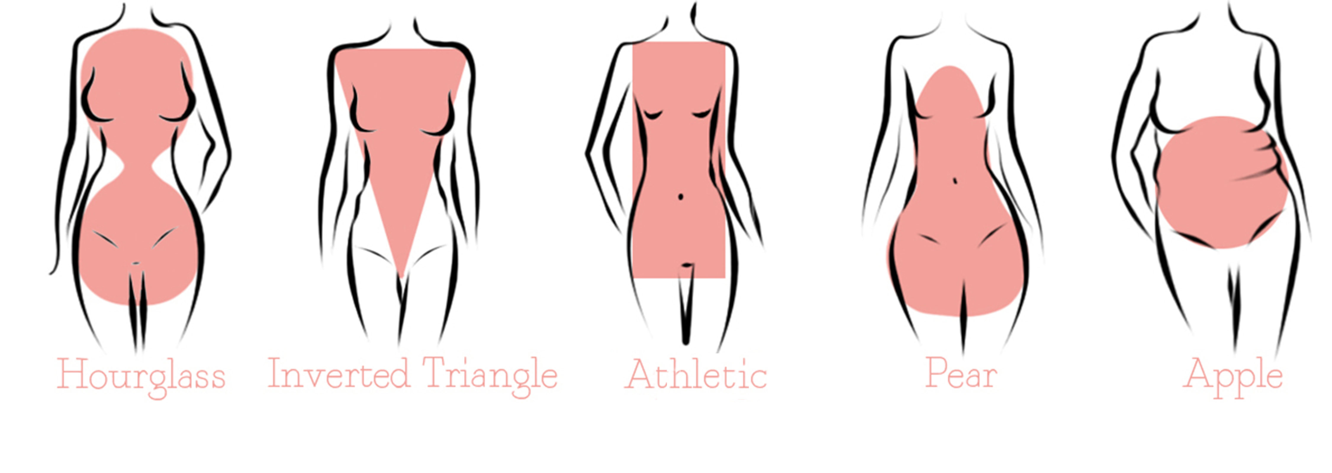Body Shapes - Slender  Body types women, Body shapes, Types of body shapes