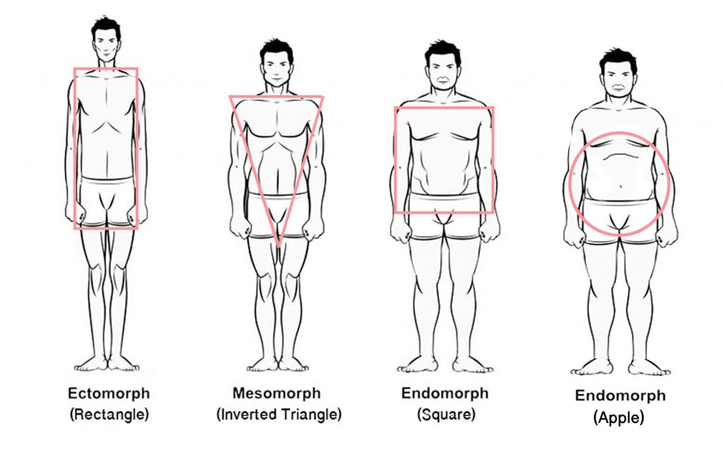 body shapes real people men